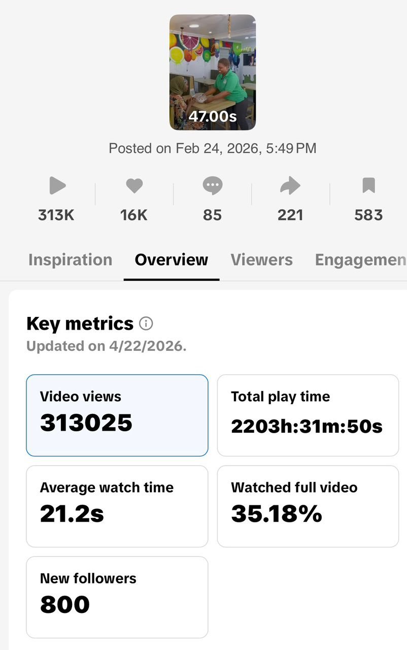 Fruit Crush analytics screenshot: 313,025 video views and 800 new followers